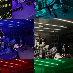 CC75599A-D0FE-42A4-9501-C79E2E86BD9D